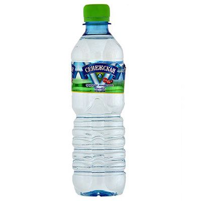 Вода питьевая «Сенежская» газированная 0,5л х 12 бут
