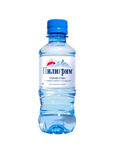 Вода Пилигрим негаз 0,25л*8шт